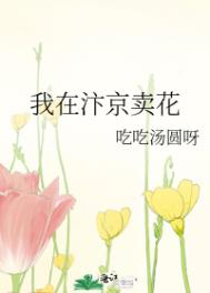 我在汴京卖花免费阅读封面